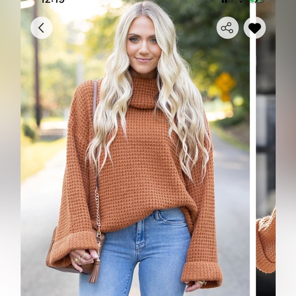 Cupshe Sweaters - Cupshe X Savannah Toasty Chunky Knit Turtleneck Sweater in Brown